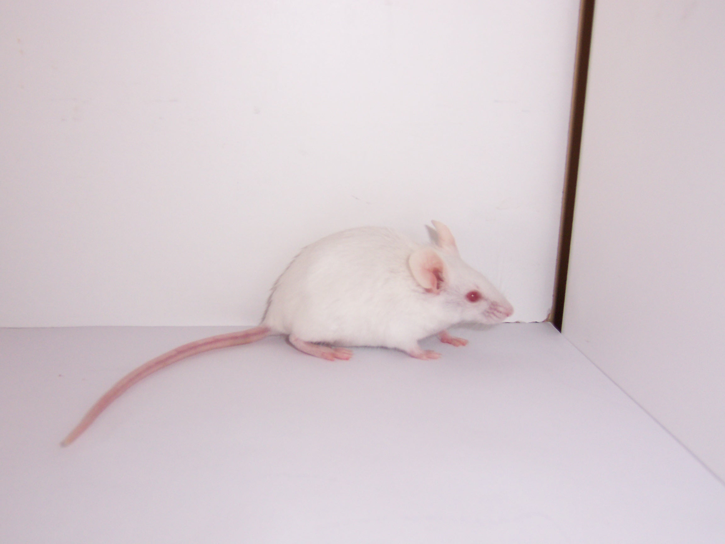 Snímek 022.jpg