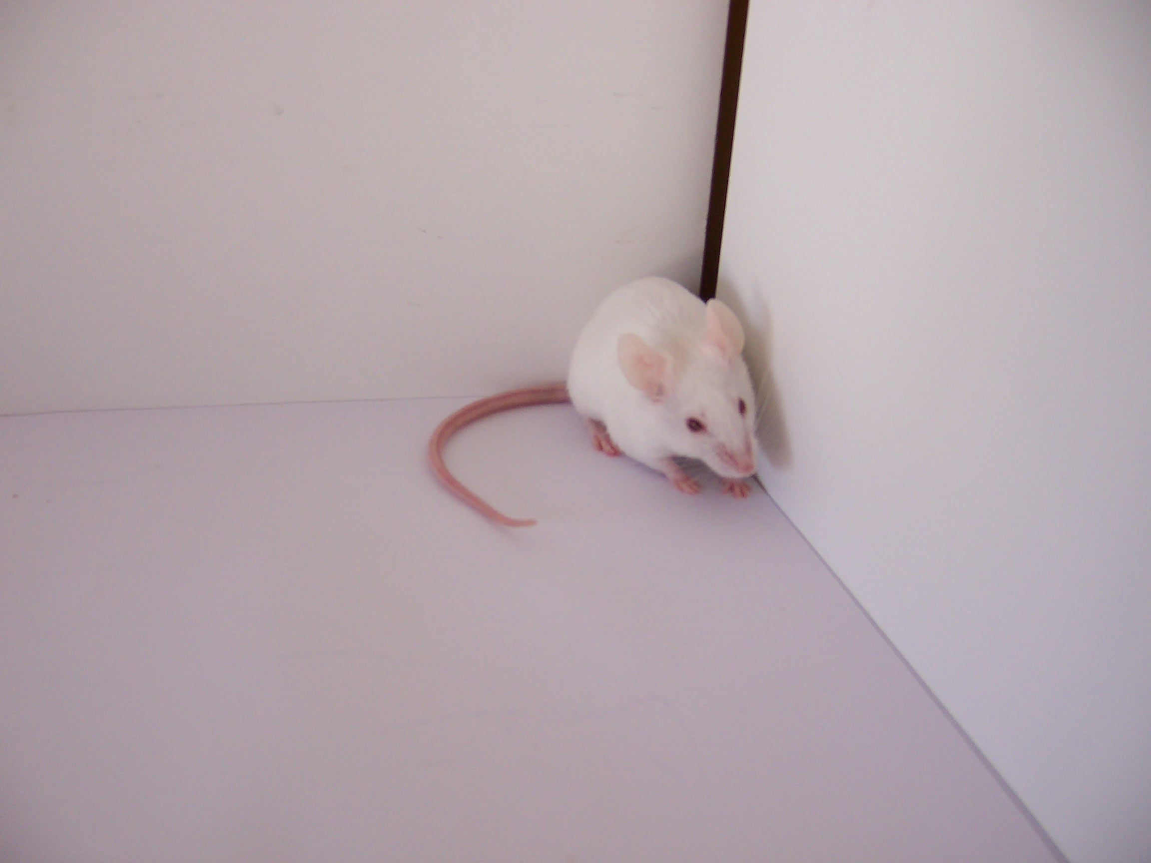 Snímek 023.jpg